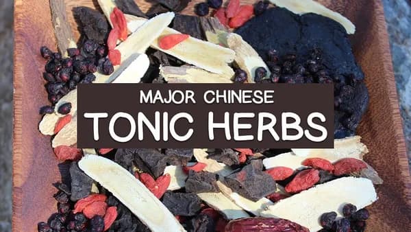 Top Chinese Herbs: Unlocking Traditional Tonic Wisdom for Wellness and Vitality Cover