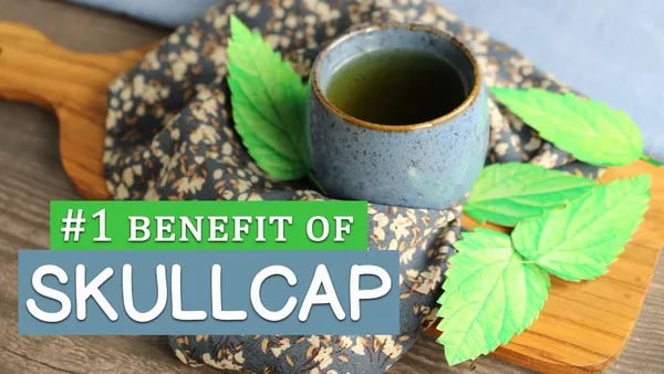 Skullcap Tincture Preparation and Its Powerful Sleep Benefits Cover