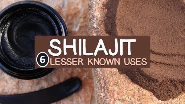 Unlocking the Hidden Powers of Shilajit: Beyond the Basics Cover